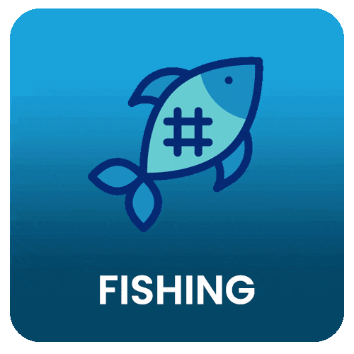 Online Fishing Games Malaysia: Arcade Shooting and Multipliers - ekplus8.io